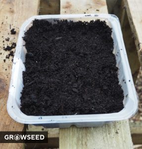 Reusing single use plastic in the garden - Growseed Blog