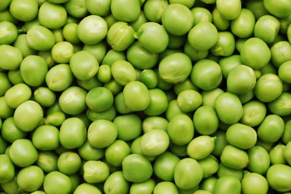 peas - Growseed Blog