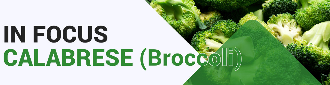 Calabrese (broccoli)  - Key Growing Information