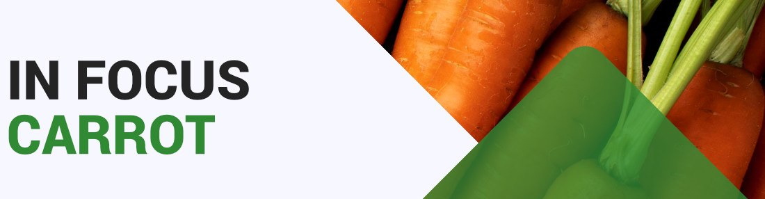 Carrot  - Key Growing Information