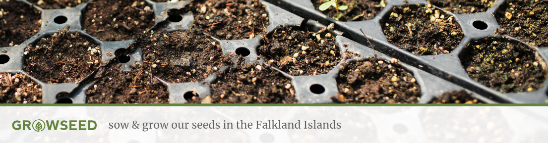 Vegetable Seeds Falkland Islands