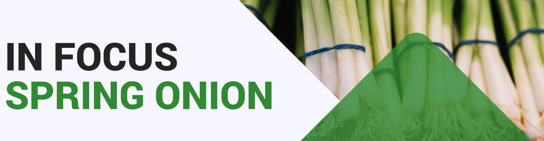 Bunching Onions - Key Growing Information